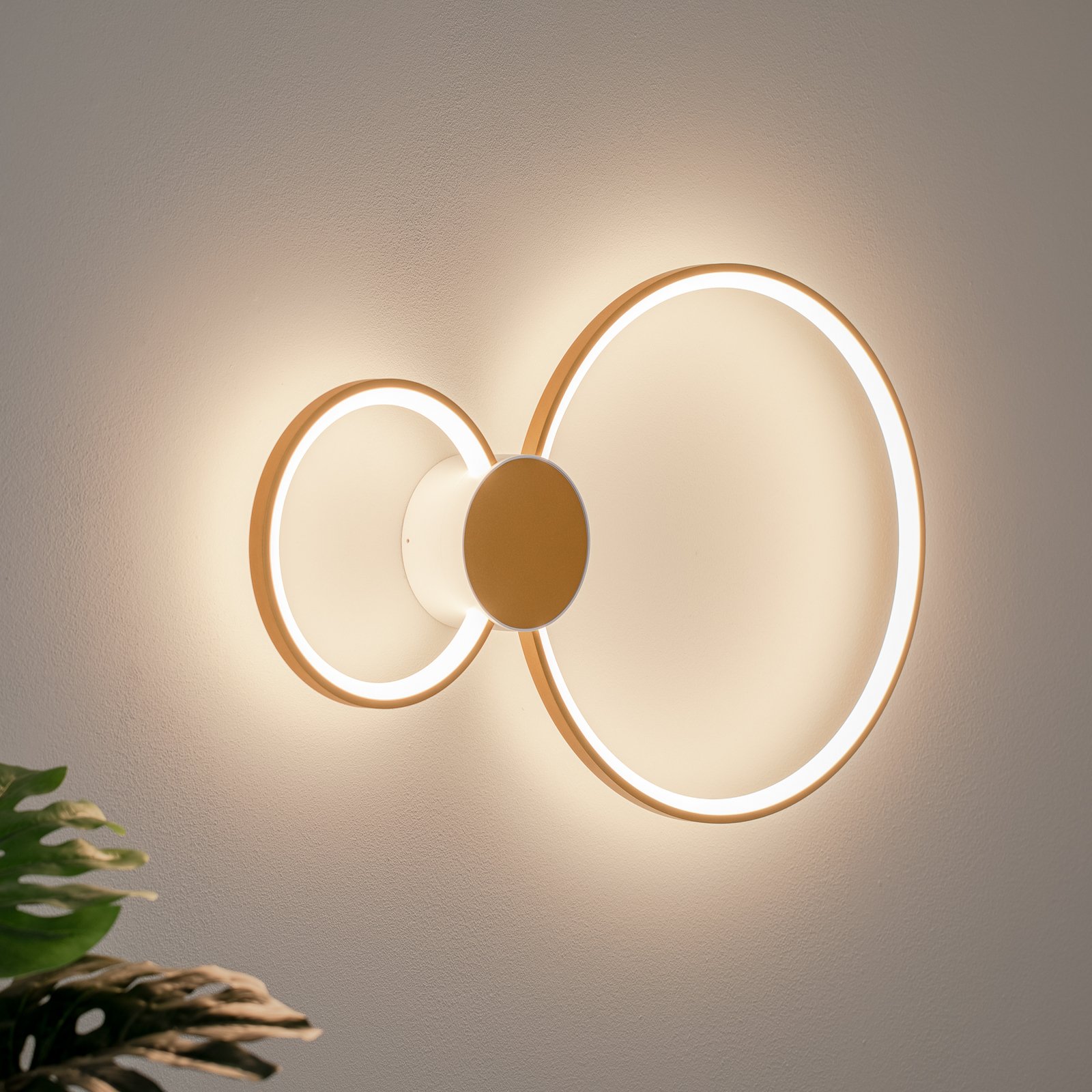 BEGA LED wall light 51298.4 , velvet brass, metal, DALI