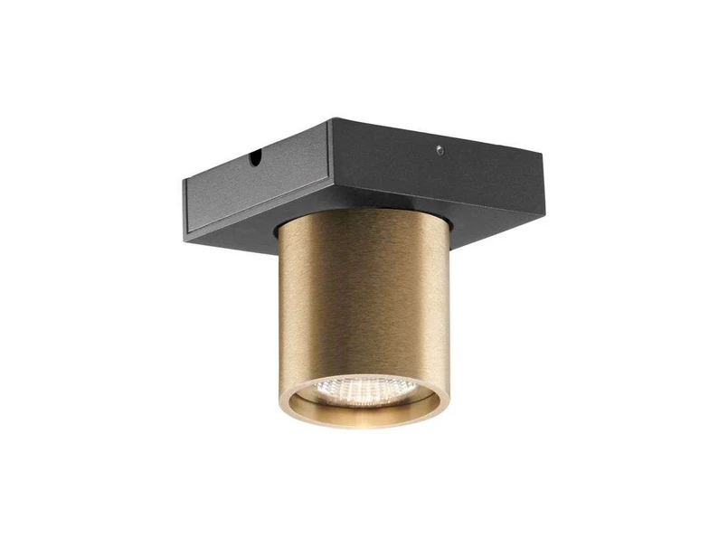 LIGHT-POINT - Focus 1 LED Plafonnier 3000K Brass