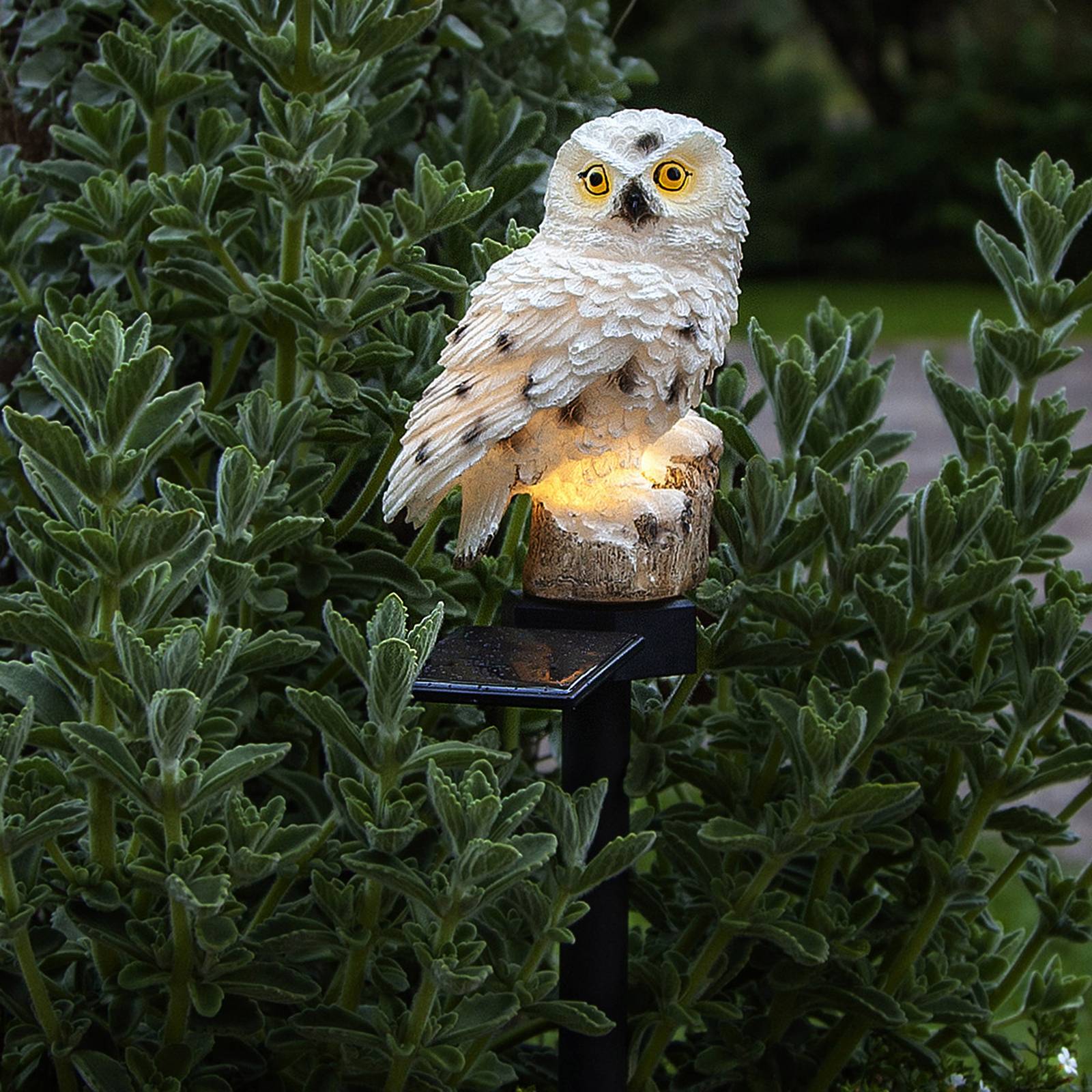 STAR TRADING LED-solcellslampa Owl med markspett
