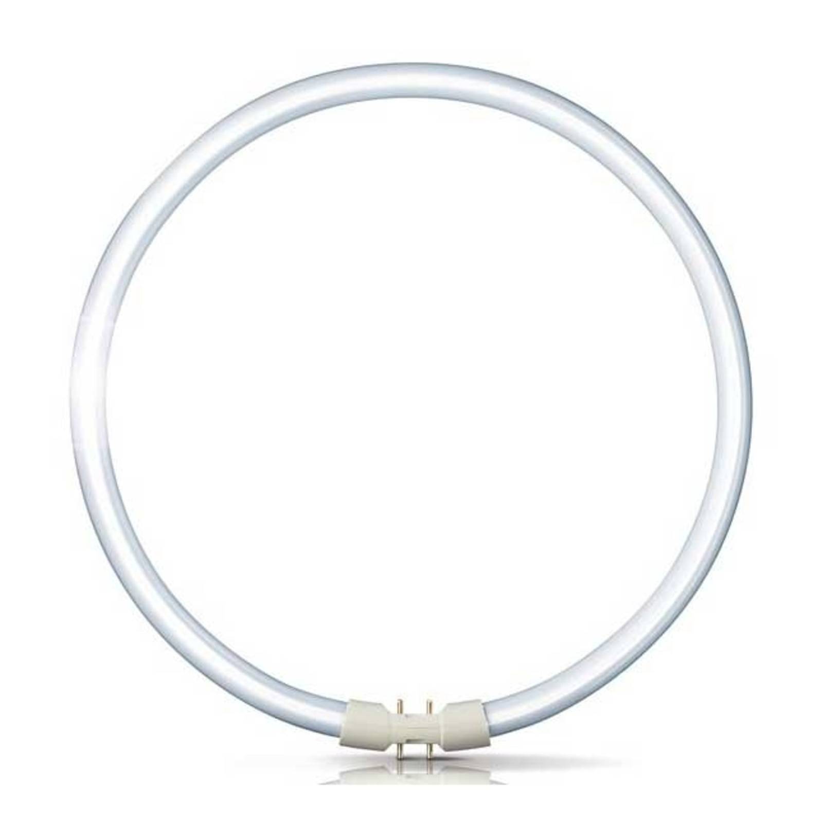 2GX13 60W 840 Ring-Leuchtstofflampe Master TL5