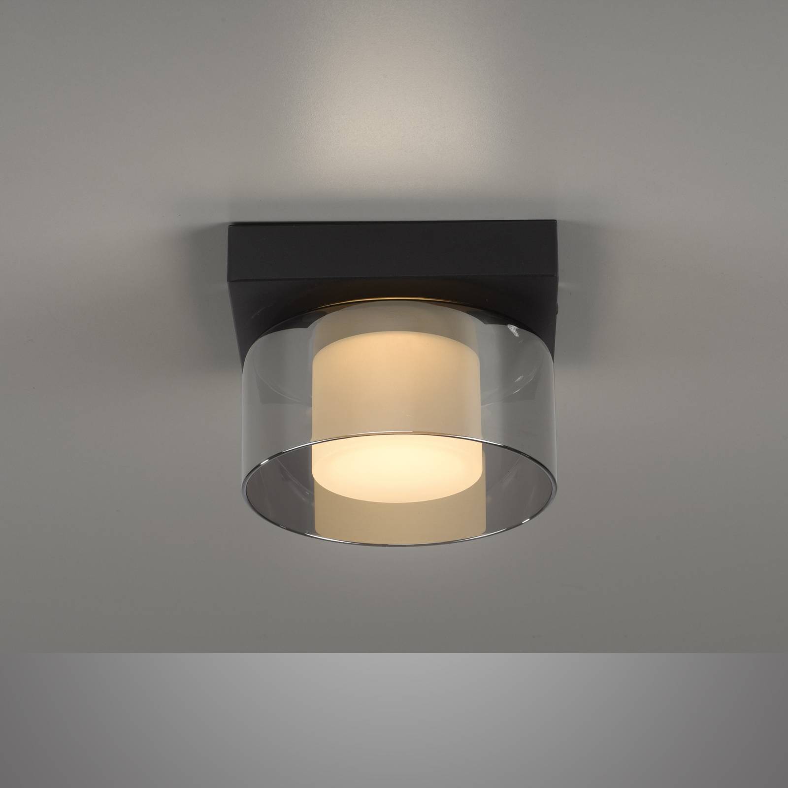 Paul Neuhaus Lampa sufitowa LED Rika, Ø 15 cm, szkło, ściemniana