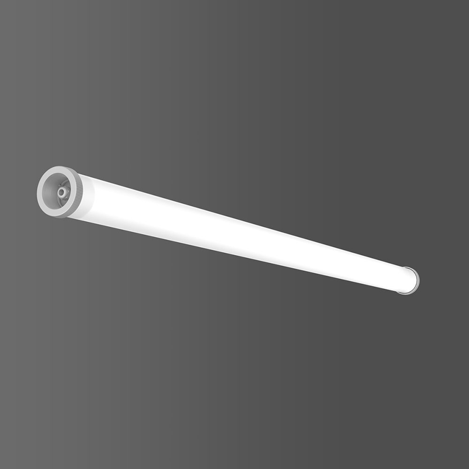 RZB Planox Tube Farm LED moisture-proof light