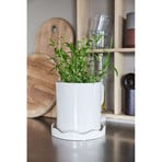 Nami Pflanzentopf w/Untertasse Small White - OYOY Living Design