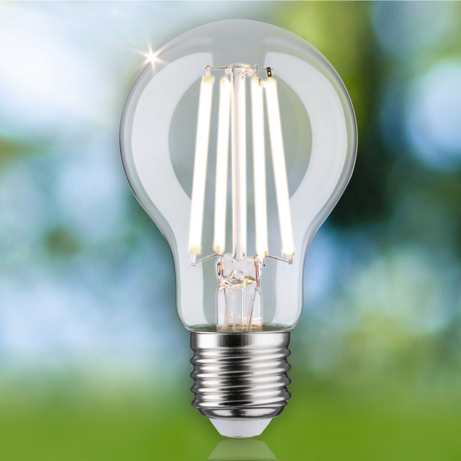 Paulmann Eco-Line LED bulb E27 4W 840lm 4,000K