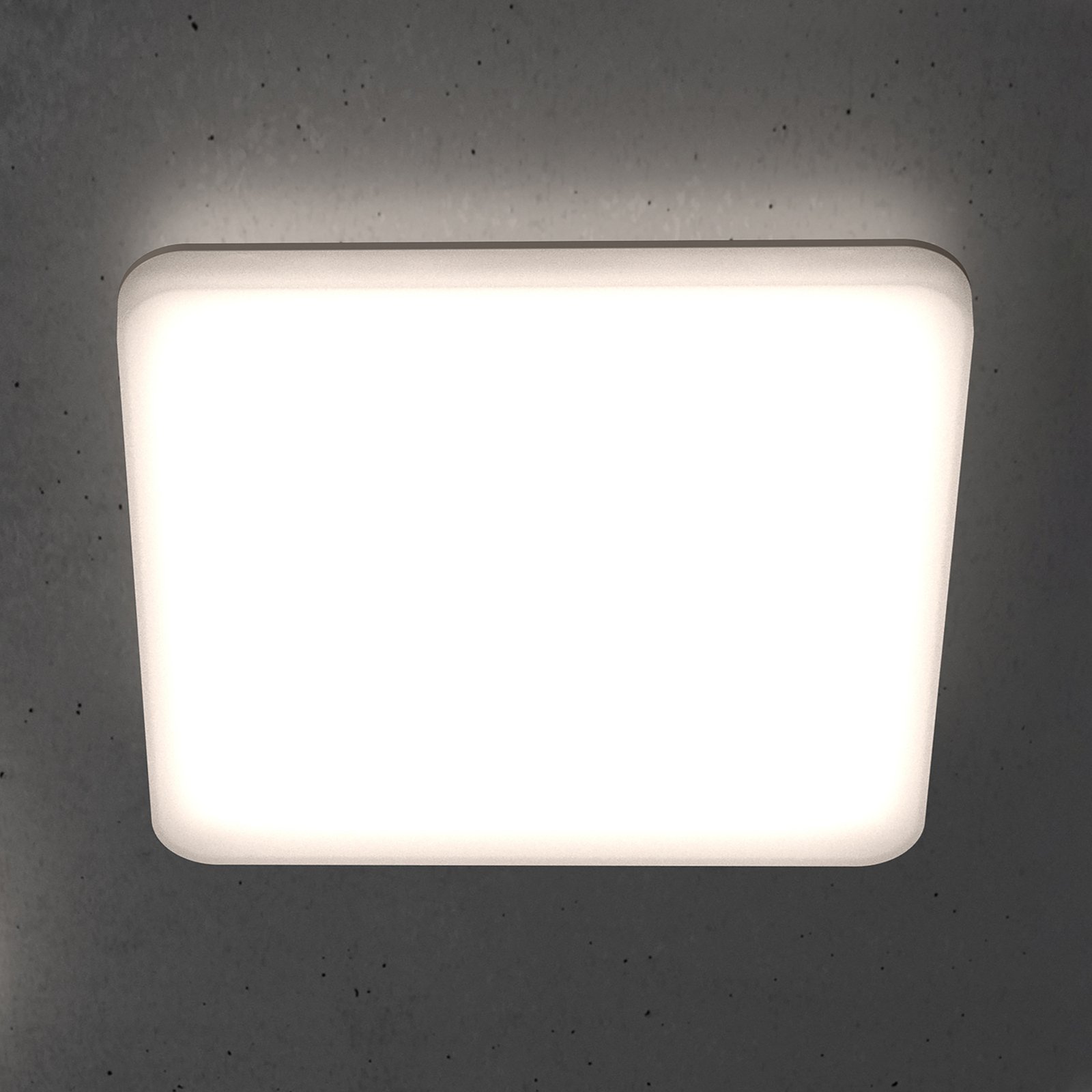STEINEL RS PRO R30 Q basic LED-Deckenlampe 3.000K