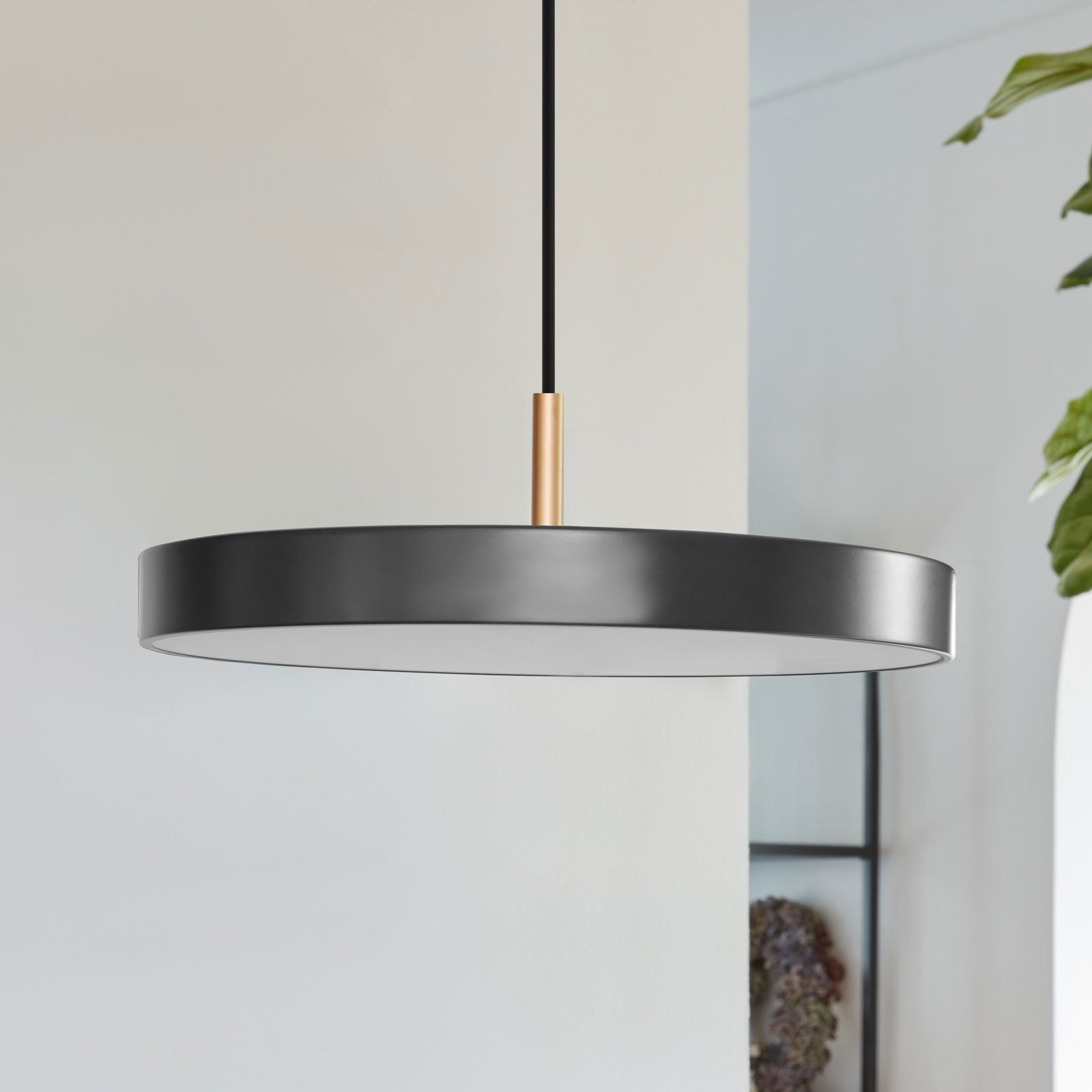 UMAGE Asteria mini lampă susp. alamă antracit - Camera de zi / sufragerie - design - gri-antracit - Metal