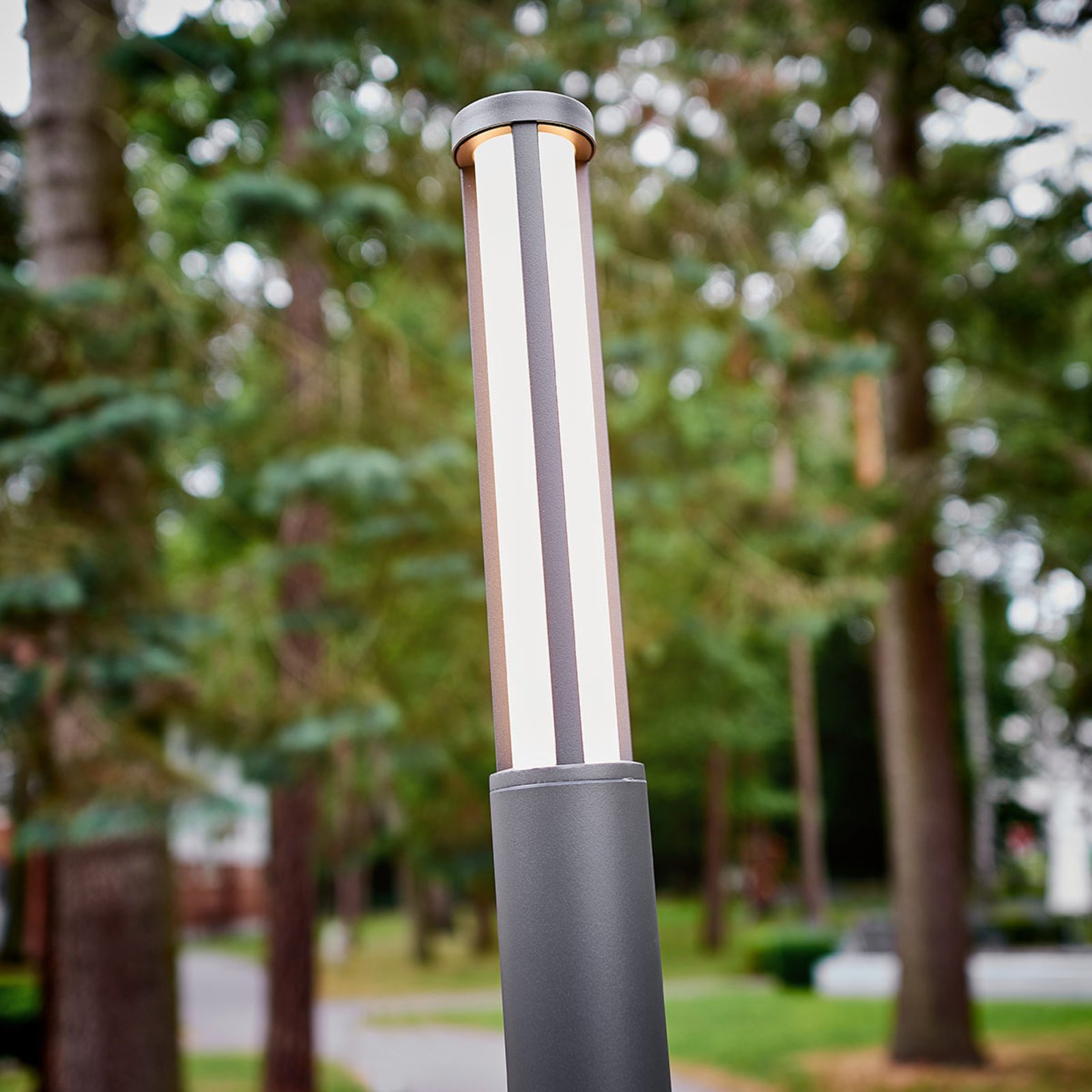 LED-Mastleuchte Sidny, schmale Form, 220 cm kaufen | Lampenwelt.de