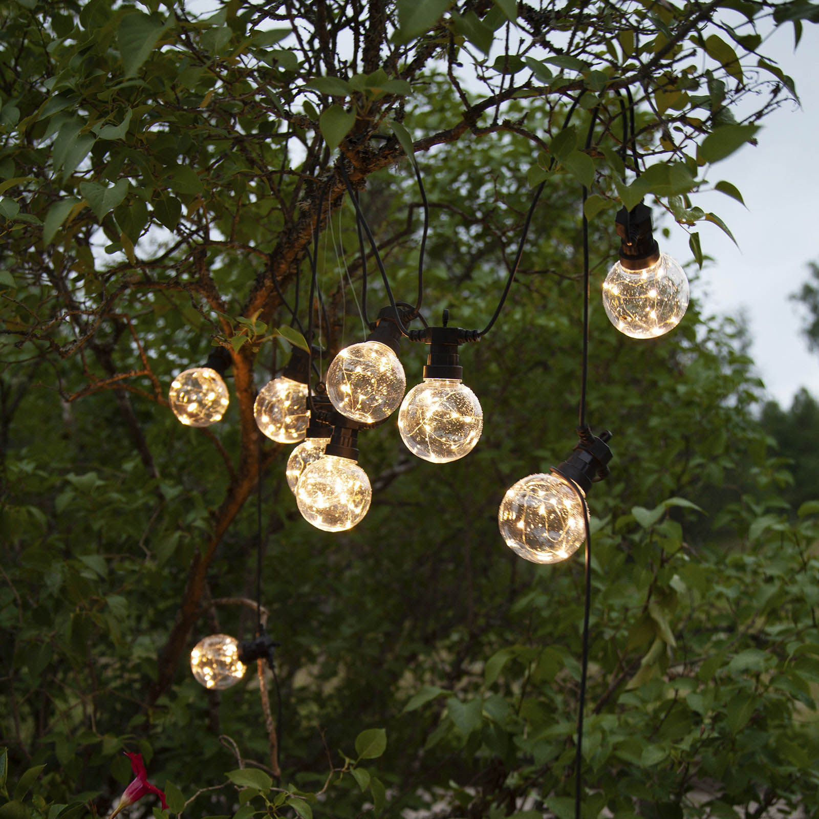 LED-lyslenke Big Circus, Dew Drops, 10 lyskilder