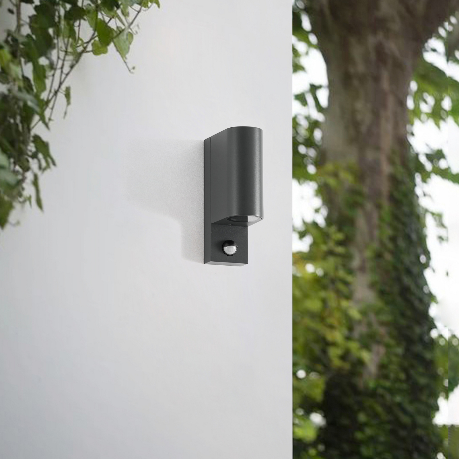 Palina Vonkajšie Nástenné Svietidlo w/Sensor Graphite - Lindby