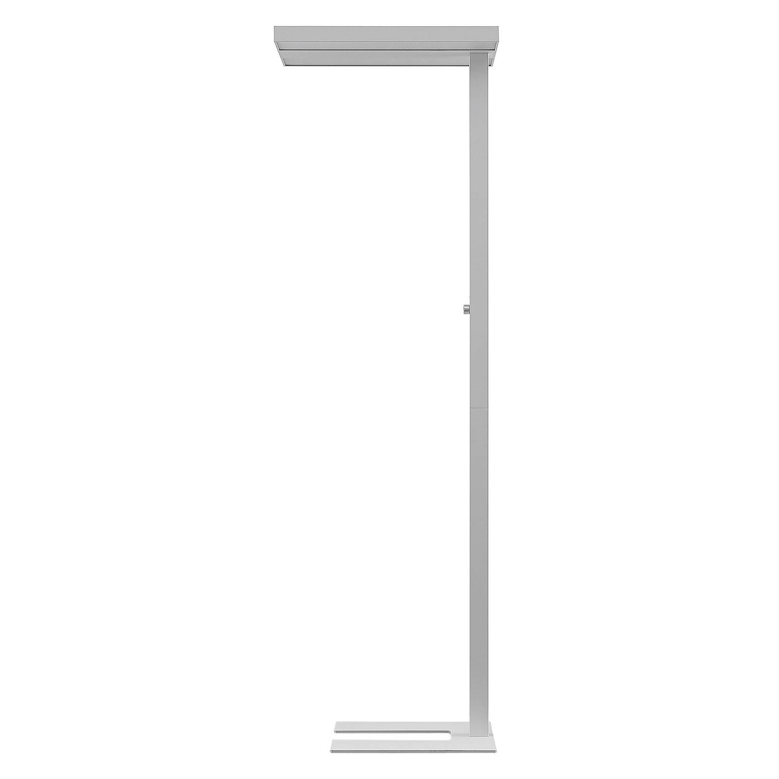 ELC Curina LED office floor lamp, dimmer, white, for Workroom / Office, aluminium, plastic, 53.5 W, L: 61 cm, W: 28 cm, H: 195 cm