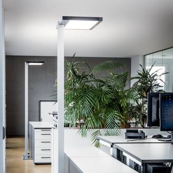 Luctra Vitawork LED-gulvlampe til kontor med PIR