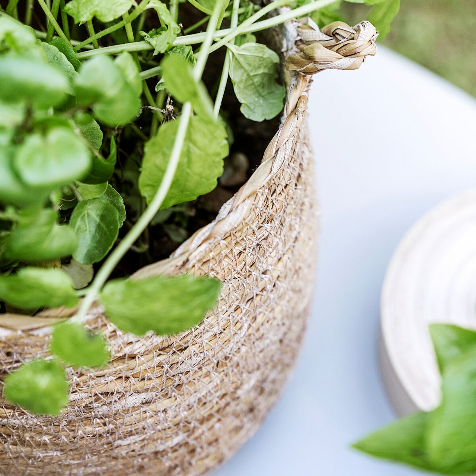 Cestino portaoggetti HDHang, alghe marine, 16 x 18 cm - House Doctor