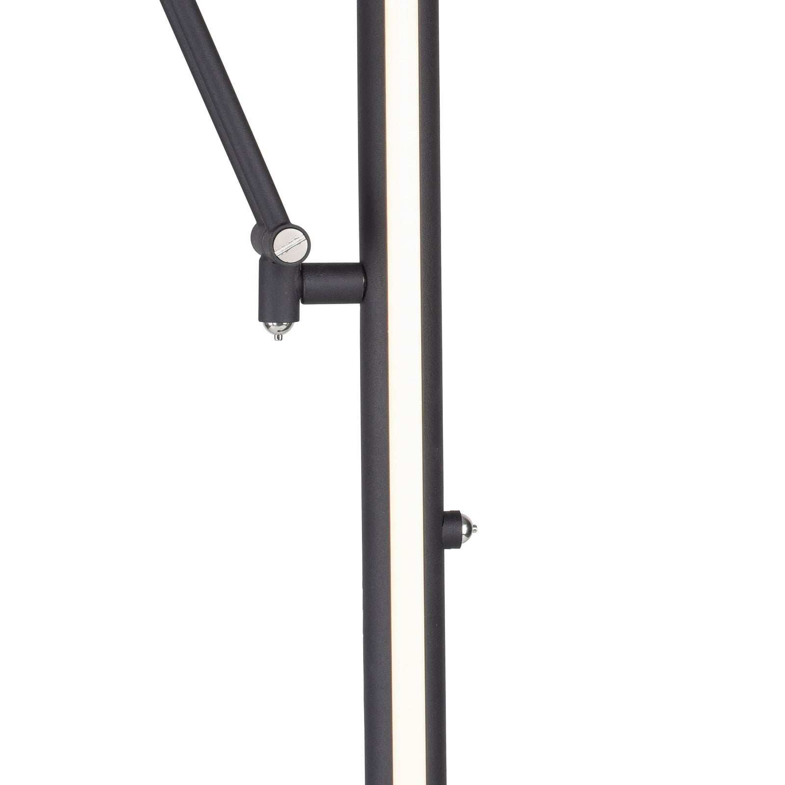 Mutil LED-Stehleuchte, graphite, Leselampe, CCT - PURE Mutil LED-Stehleuchte, graphite, Leselampe, CCT - PURE