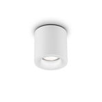 Helestra Lot plafón para exterior, IP65, blanco