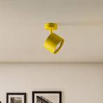 Spot pour plafond Chloe réglable à 1 lampe, jaune