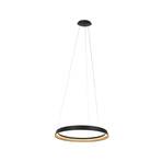 Suspension LED Ringlux, à 1 lampe, noir, métal