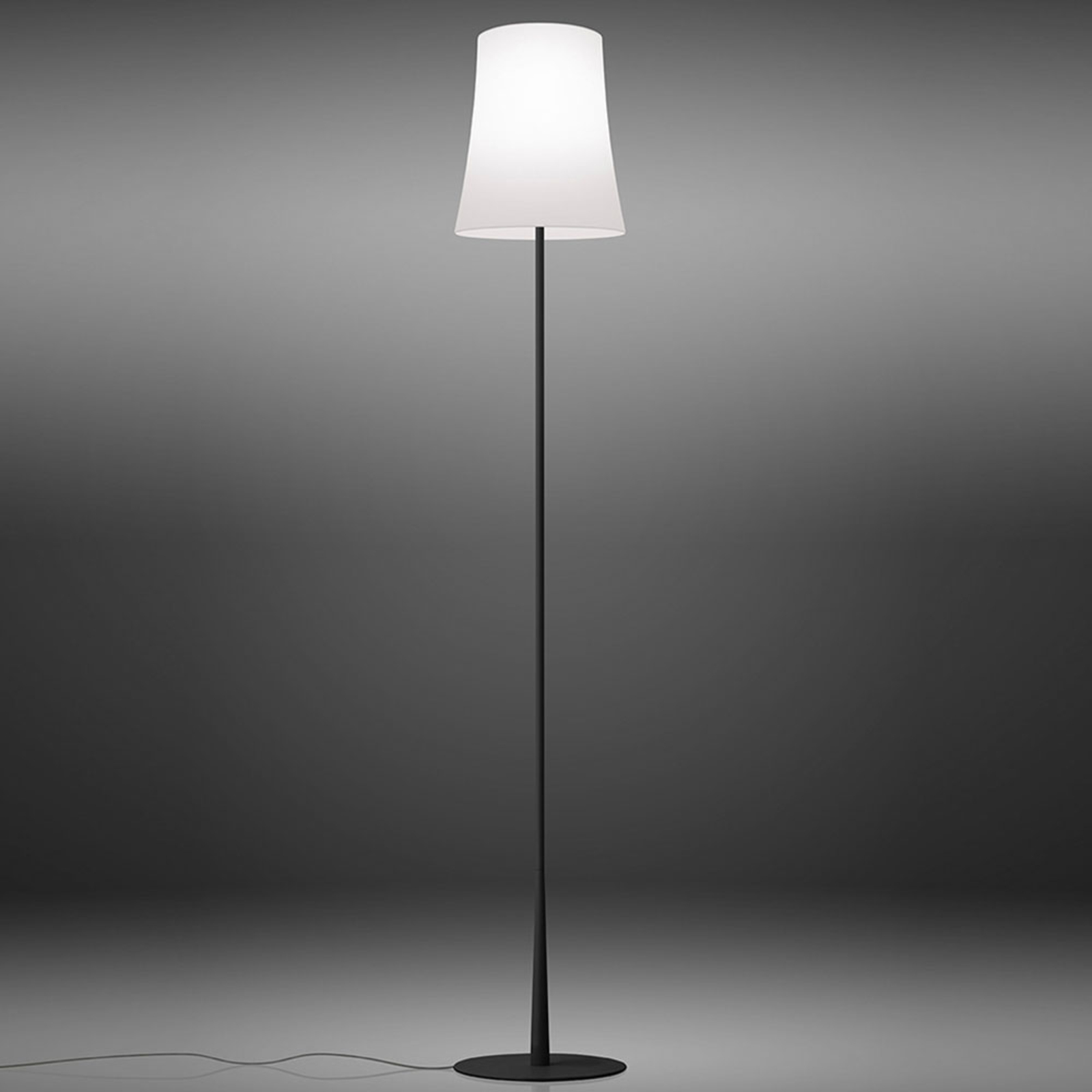 Birdie Easy Reading Stojací Lampa Black - Foscarini