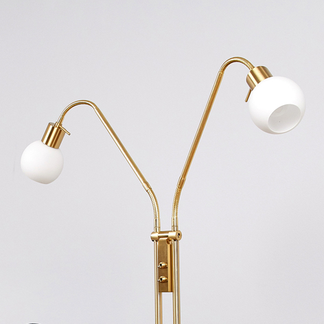 Two Bulb Led Floor Lamp Elaina Brass, Dual Bulb Floor Lamp