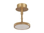 Asteria Spot Stropné Lampa Plated Brass - UMAGE