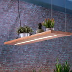 Paul Neuhaus LED hanging light Palma, wood, CCT, dimmable, 120cm