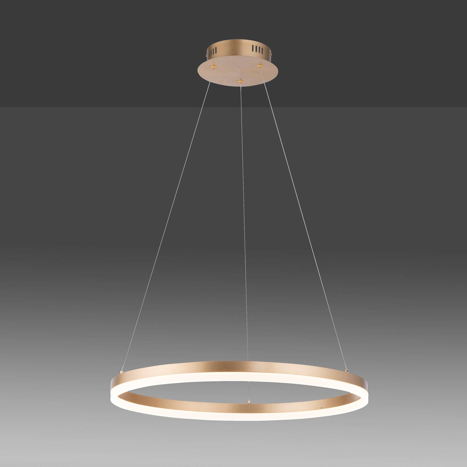 Paul Neuhaus LED-Hängelampe Titus, Ø 60 cm, messing, dimmbar günstig online kaufen