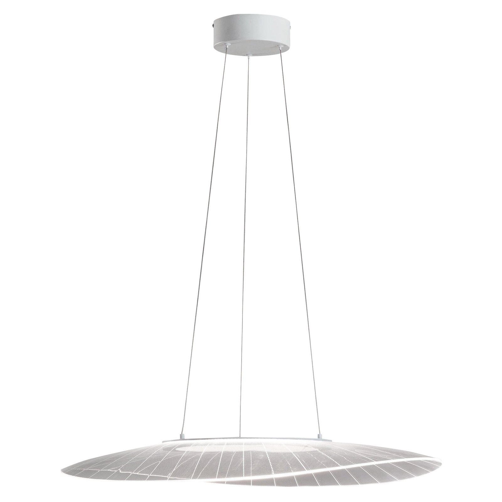 Závesné svietidlo LED Vela, biele, oválne, 78 cm x 55 cm