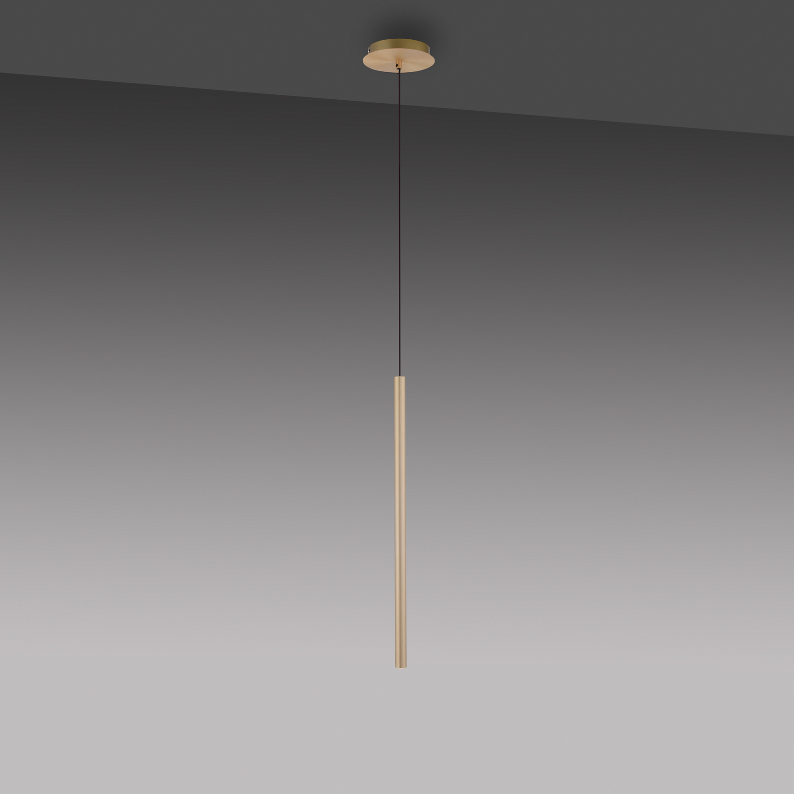 Paul Neuhaus Flétna LED závesné svietidlo 1 svetlo mosadz