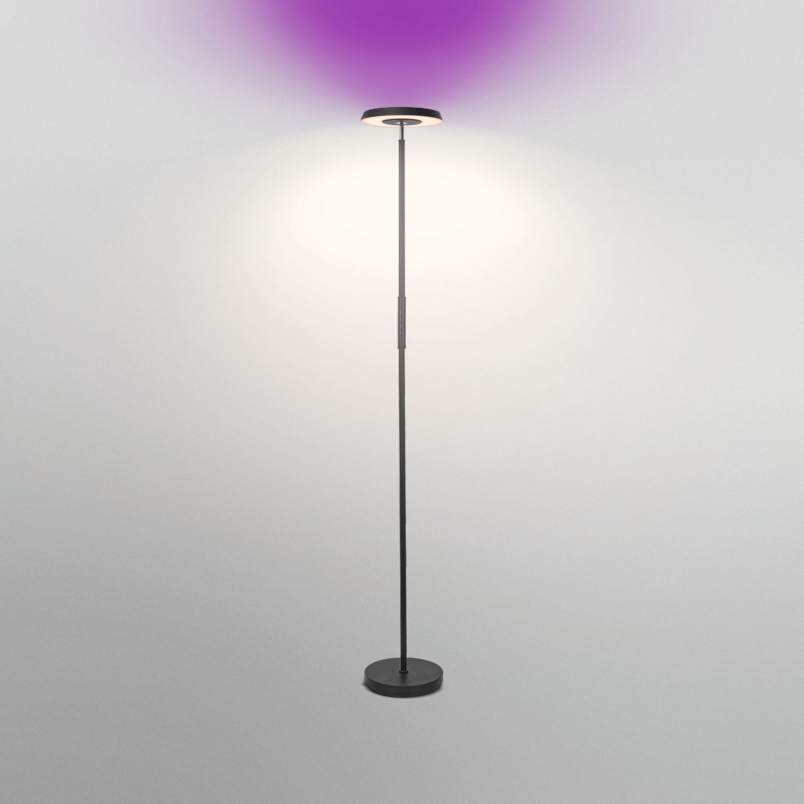 OSRAM SMART+ WiFi LED-Stehleuchte, schwarz, up/down, RGB CCT