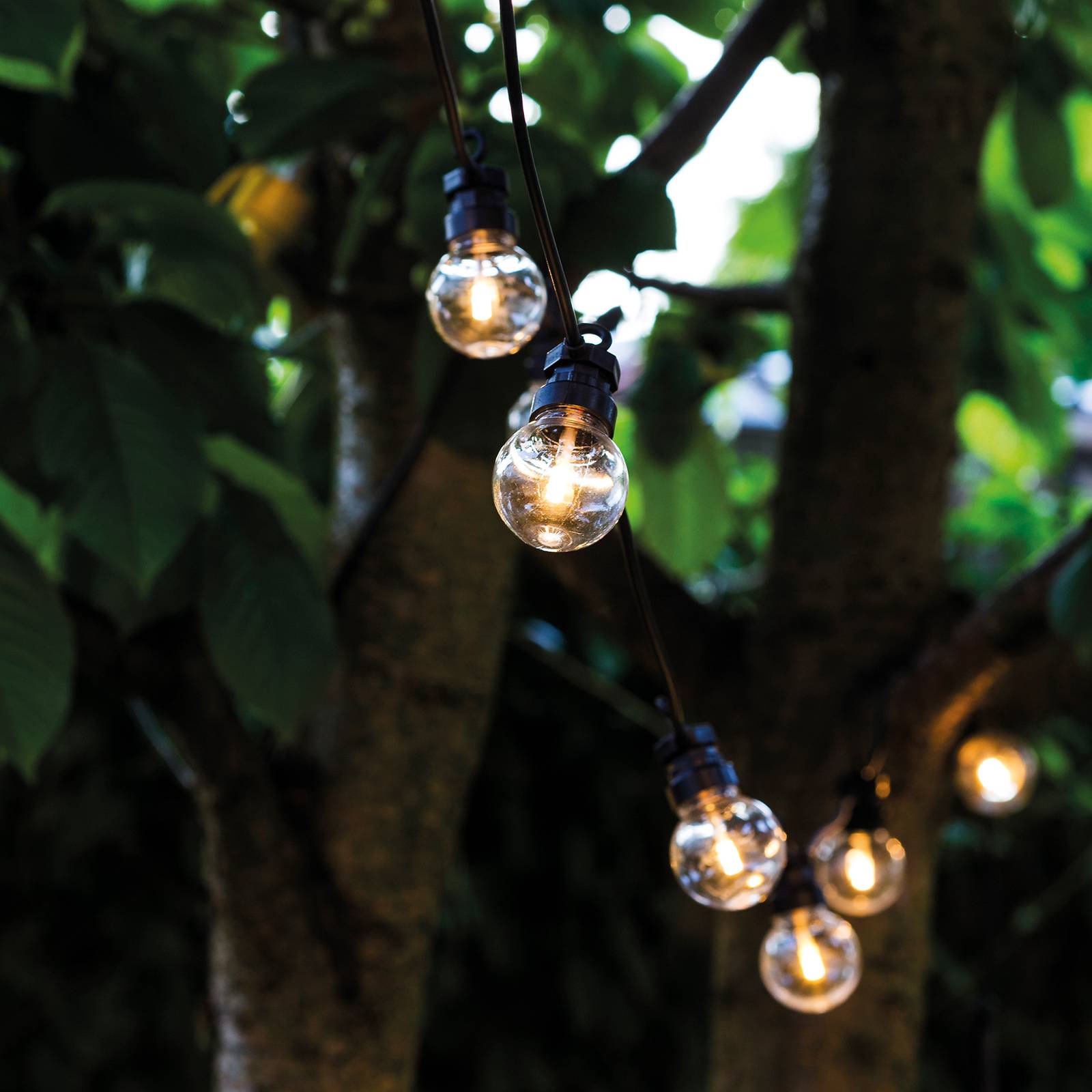 Photos - Chandelier / Lamp Sirius LED fairy lights Lucas Supplement Set, clear 