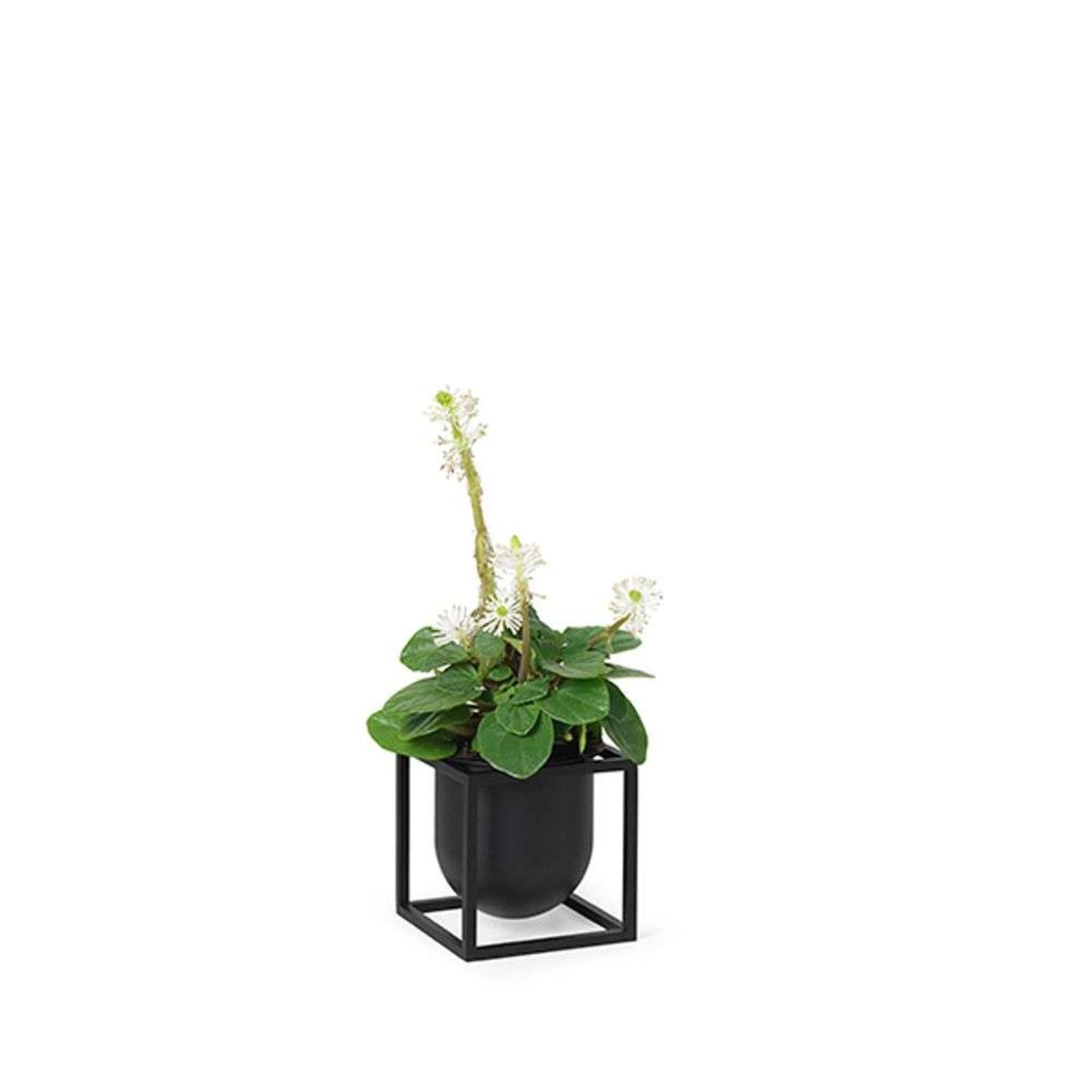 Kubus 10 Ghiveci Pentru Plante Black - Audo Copenhagen