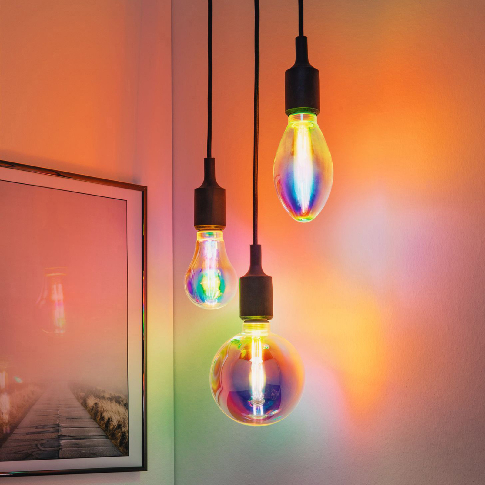 Horen van scherp uitzondering Paulmann LED lamp E27 5W B75 Fantastic Colors | Lampen24.be