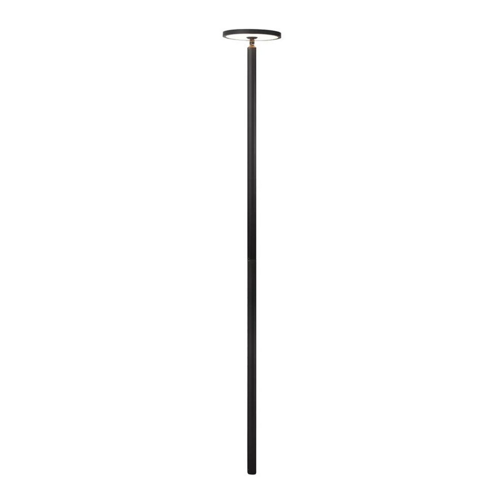 Akito Outdoor Garden Lamp Graphite - Lucande