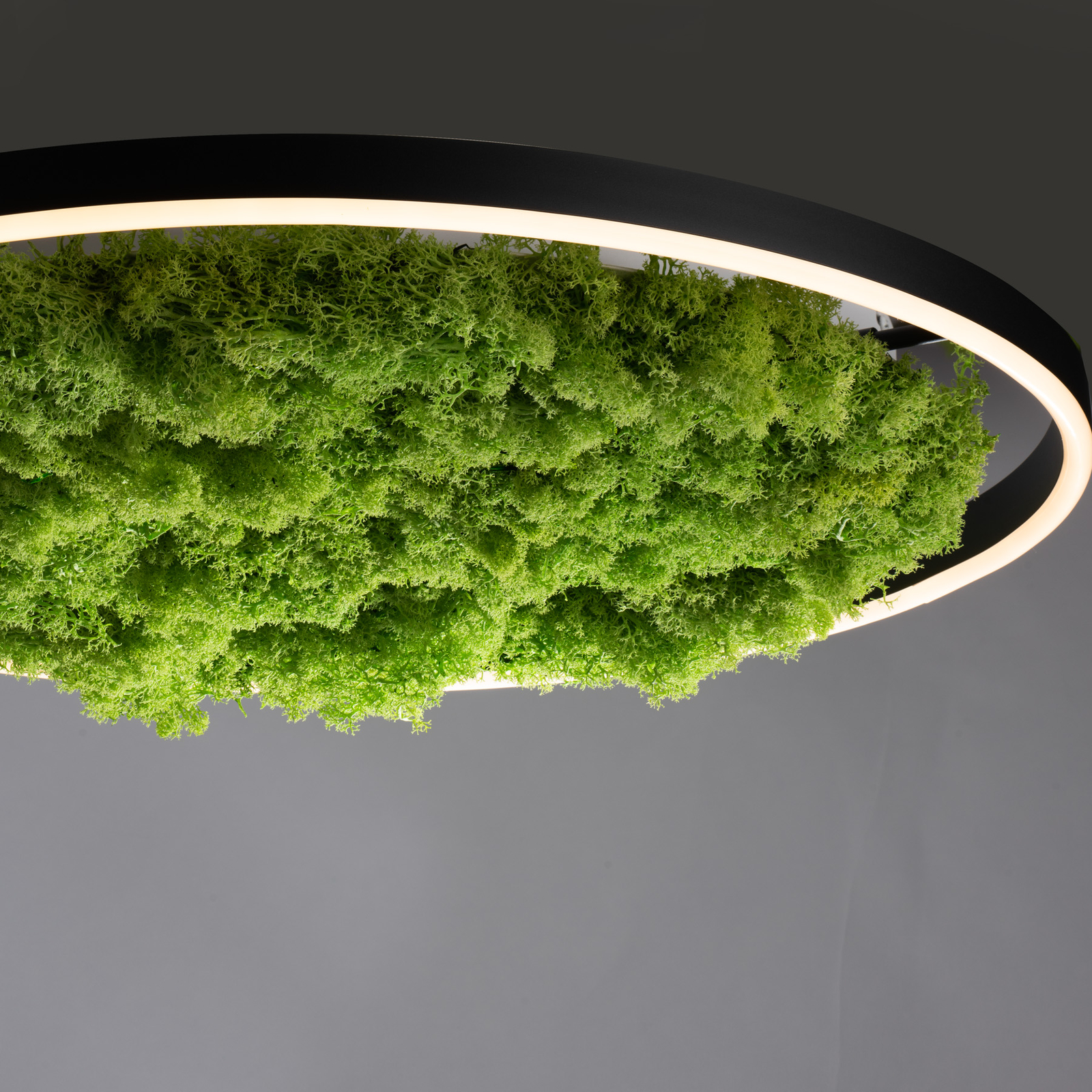 LED stropní svítidlo Green Ritus, mechové stmívatelné Ø58,5cm