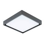 EVN Tectum LED outdoor ceiling light angular 110°