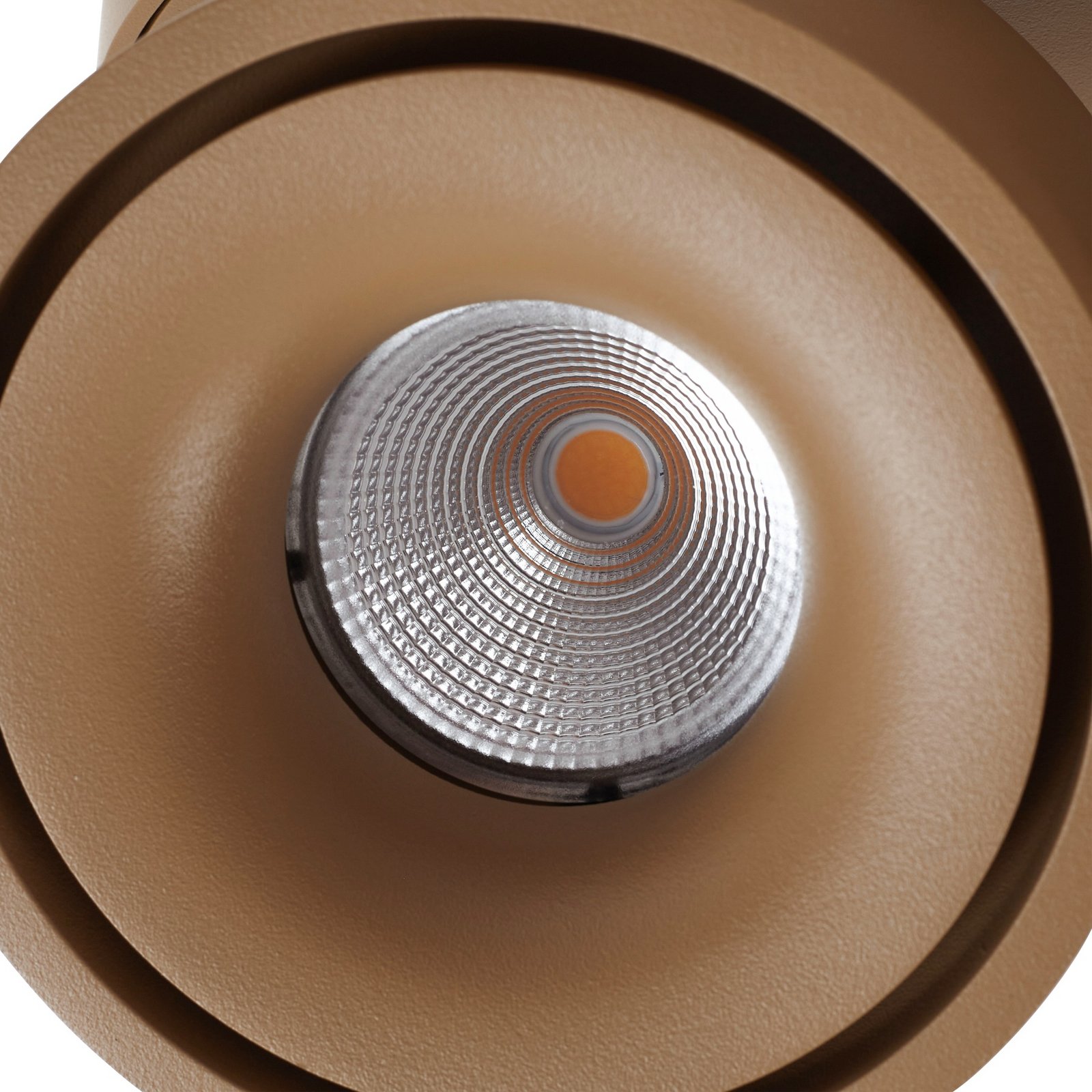 Arcchio LED ceiling spotlight Rotari, brown, 2-bulb, 8.9W