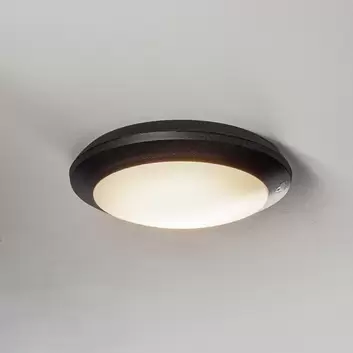 Plafoniera da esterno a LED Witham IP54, CCT, antracite