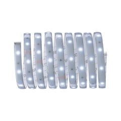 Paulmann MaxLED 250 strip IP44 bianco freddo 2,5m