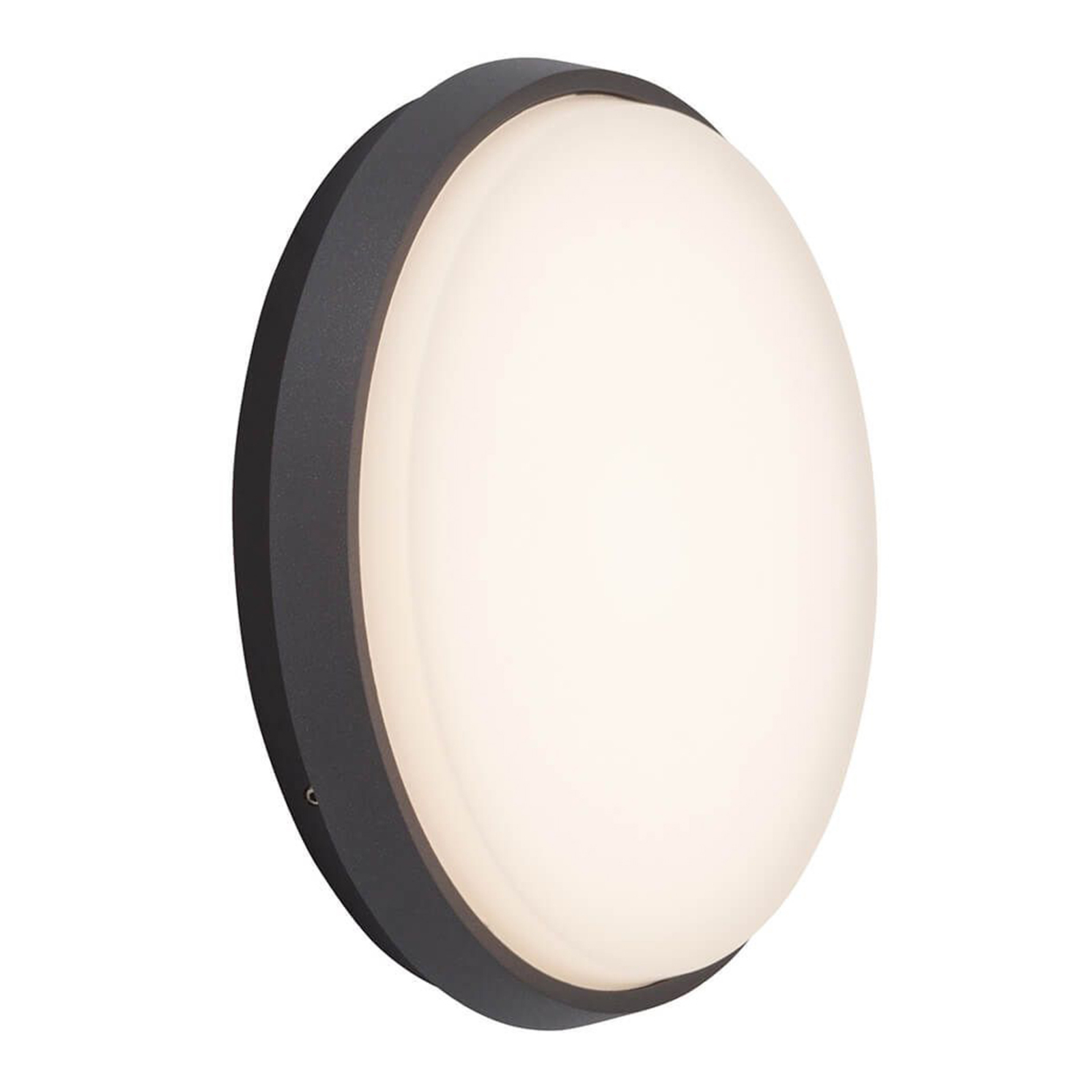 Efficient Letan Round LED outdoor wall lamp
