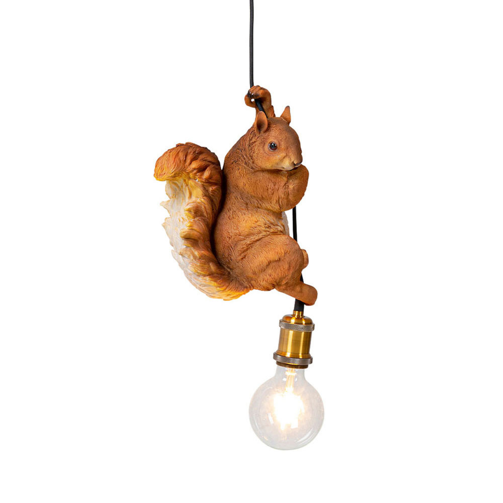 Squirrel lámpara colgante con modelo |