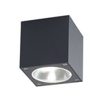 Cordy LED Kültéri Spot Graphite - Lucande