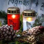 STERNTALER LED grave light, white, height 12 cm, IP44, battery