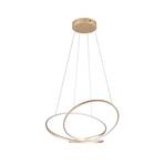 Hanglamp Darvin lengte 84 cm, goudkleurig, metaal, CCT