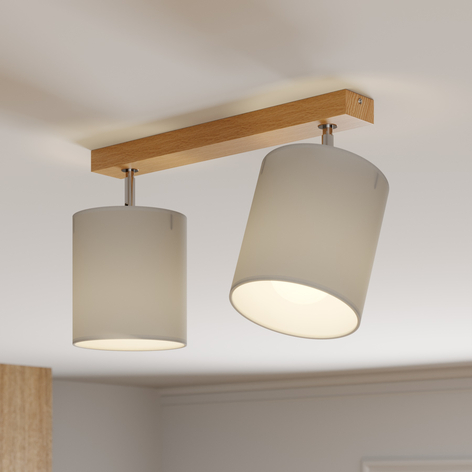 Spot pour plafond Corralee gris à 2 lampes