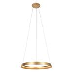 Suspension LED Ringlux, 1 lampe, doré, métal