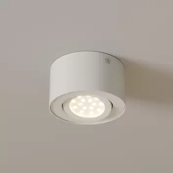 Spots Irelia, schwenkbare LED-Deckenstrahler
