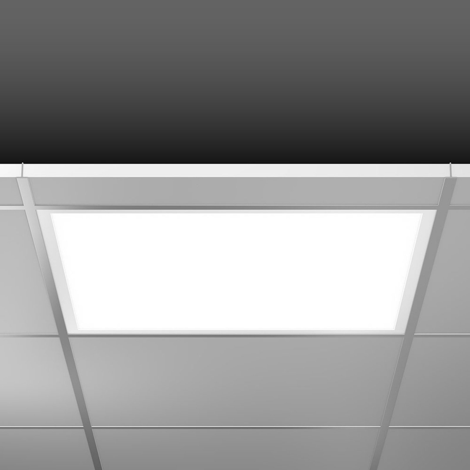 RZB Sidelite Eco LED panel 4-step, square, 38W
