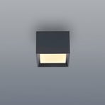 LED-stropna svetilka PURE Manhatten, mystic grey, 1-žarilna, CCT