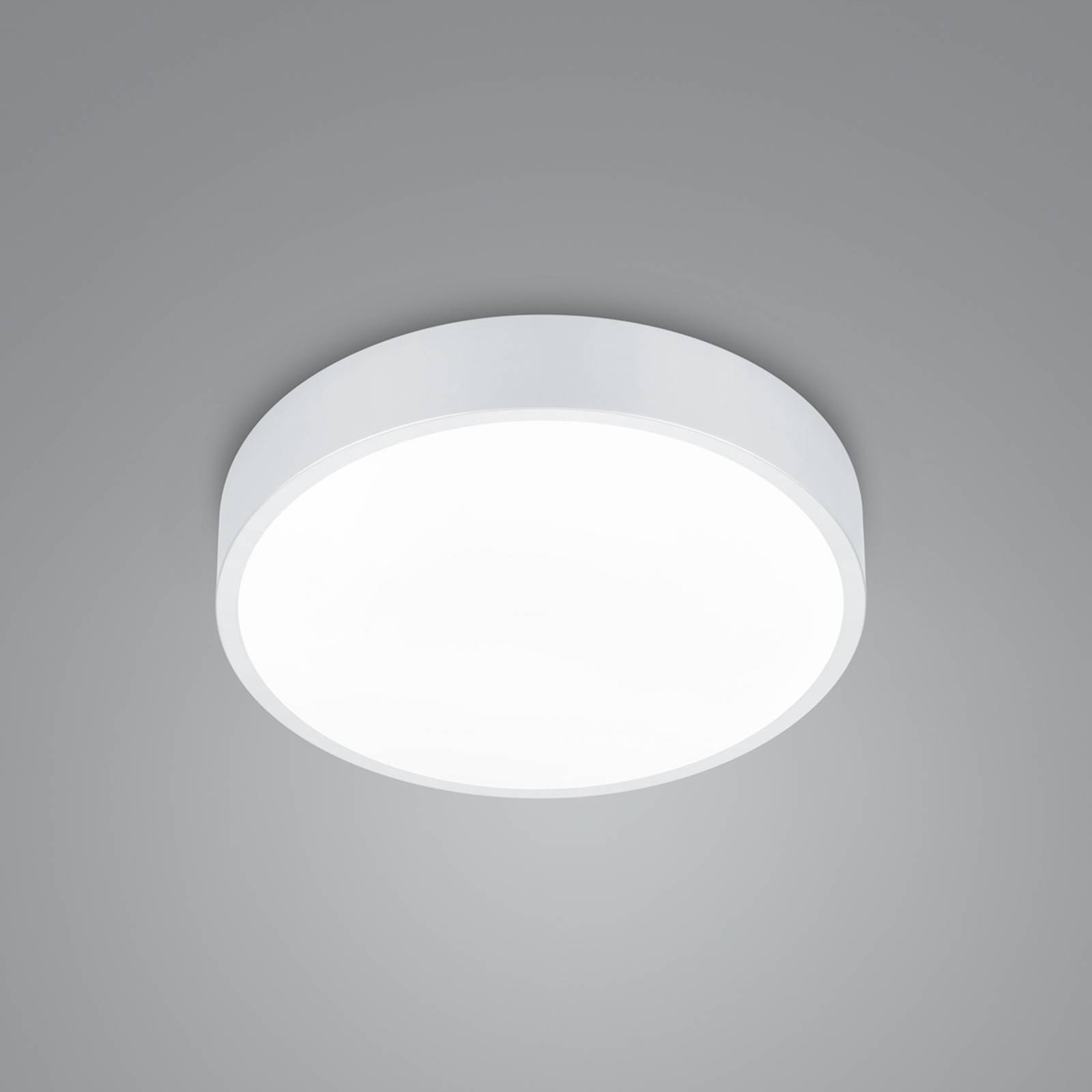 Trio Lighting Plafonnier LED Waco, CCT, Ø 31cm, blanc mat