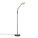 Lámpara de pie LED Dent, negro/hoja de oro, 150 cm, CCT, 1 luz.