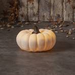 LED lauko apšvietimas Sandy Pumpkin, Ø 20,5 cm, balta baterija